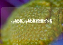vip域名,vip域名续费价格
