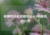 有哪些知名的提供私人DNS服务的公司