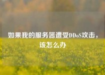 如果我的服务器遭受DDoS攻击，该怎么办