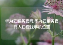 华为云服务官网,华为云服务官网入口查找手机位置