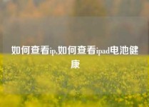 如何查看ip,如何查看ipad电池健康