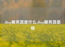 dhcp服务器是什么,dhcp服务器是啥