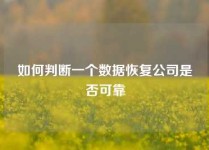 如何判断一个数据恢复公司是否可靠