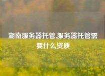 湖南服务器托管,服务器托管需要什么资质