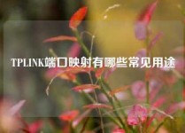 TPLINK端口映射有哪些常见用途