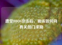 遭受DDOS攻击后，我该如何向有关部门求助