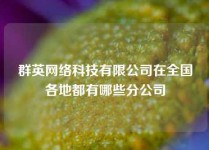 群英网络科技有限公司在全国各地都有哪些分公司
