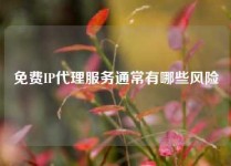 免费IP代理服务通常有哪些风险