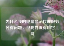 为什么我的电脑显示代理服务器有问题，但我并没有用它上网