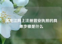 黑龙江网上注册营业执照的具体步骤是什么