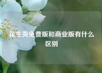 花生壳免费版和商业版有什么区别