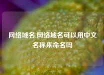 网络域名,网络域名可以用中文名称来命名吗