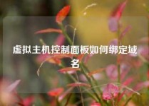 虚拟主机控制面板如何绑定域名