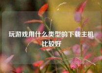 玩游戏用什么类型的下载主机比较好