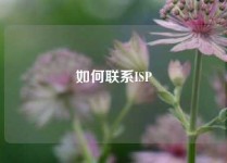 如何联系ISP