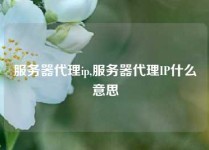 服务器代理ip,服务器代理IP什么意思