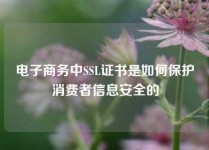 电子商务中SSL证书是如何保护消费者信息安全的