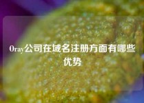 Oray公司在域名注册方面有哪些优势