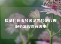 检测代理服务器设置,检测代理服务器设置在哪里