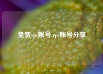 免费vps账号,vps账号分享