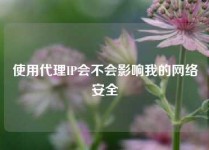 使用代理IP会不会影响我的网络安全