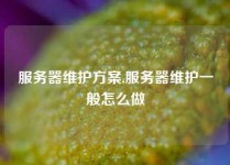 服务器维护方案,服务器维护一般怎么做