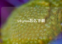 telegram怎么下载