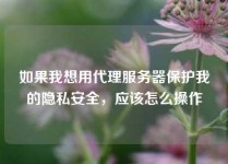 如果我想用代理服务器保护我的隐私安全，应该怎么操作