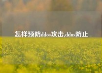 怎样预防ddos攻击,ddos防止