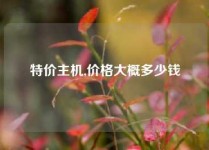特价主机,价格大概多少钱