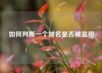 如何判断一个域名是否被滥用