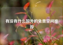 有没有什么国外的免费空间推荐