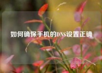 如何确保手机的DNS设置正确