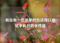 有没有一些简单的方法可以测试手机的防水性能