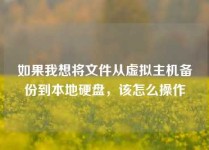 如果我想将文件从虚拟主机备份到本地硬盘，该怎么操作