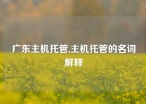 广东主机托管,主机托管的名词解释