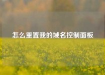 怎么重置我的域名控制面板