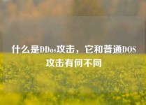 什么是DDos攻击，它和普通DOS攻击有何不同