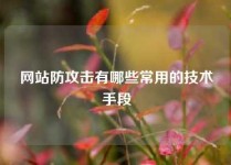 网站防攻击有哪些常用的技术手段