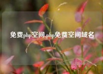 免费php空间,php免费空间域名