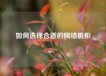 如何选择合适的网络机柜