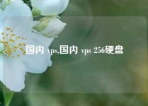 国内 vps,国内 vps 256硬盘