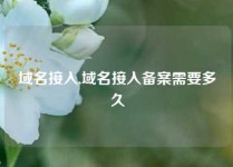 域名接入,域名接入备案需要多久