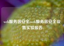 web服务器安全,web服务器安全设置实验报告