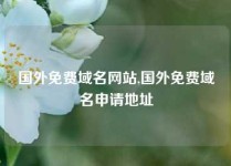 国外免费域名网站,国外免费域名申请地址