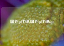 国外ip代理,国外ip代理app