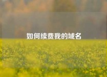 如何续费我的域名