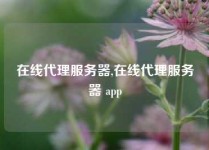 在线代理服务器,在线代理服务器 app