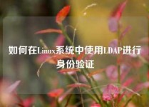 如何在Linux系统中使用LDAP进行身份验证