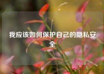 我应该如何保护自己的隐私安全